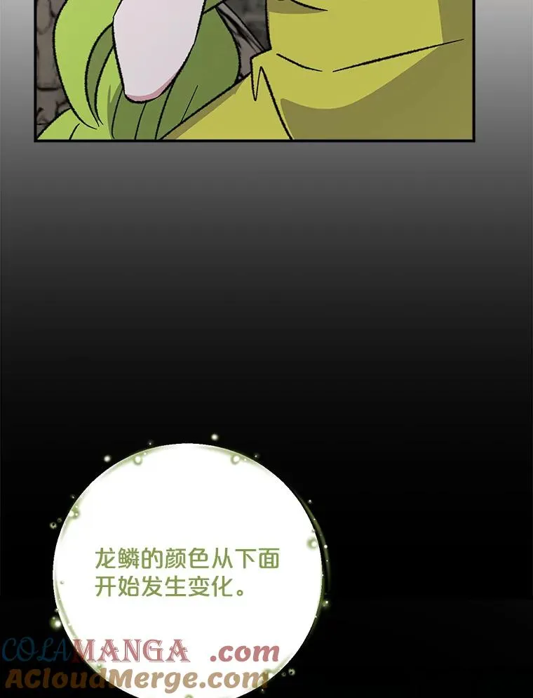 107.嘉亚4