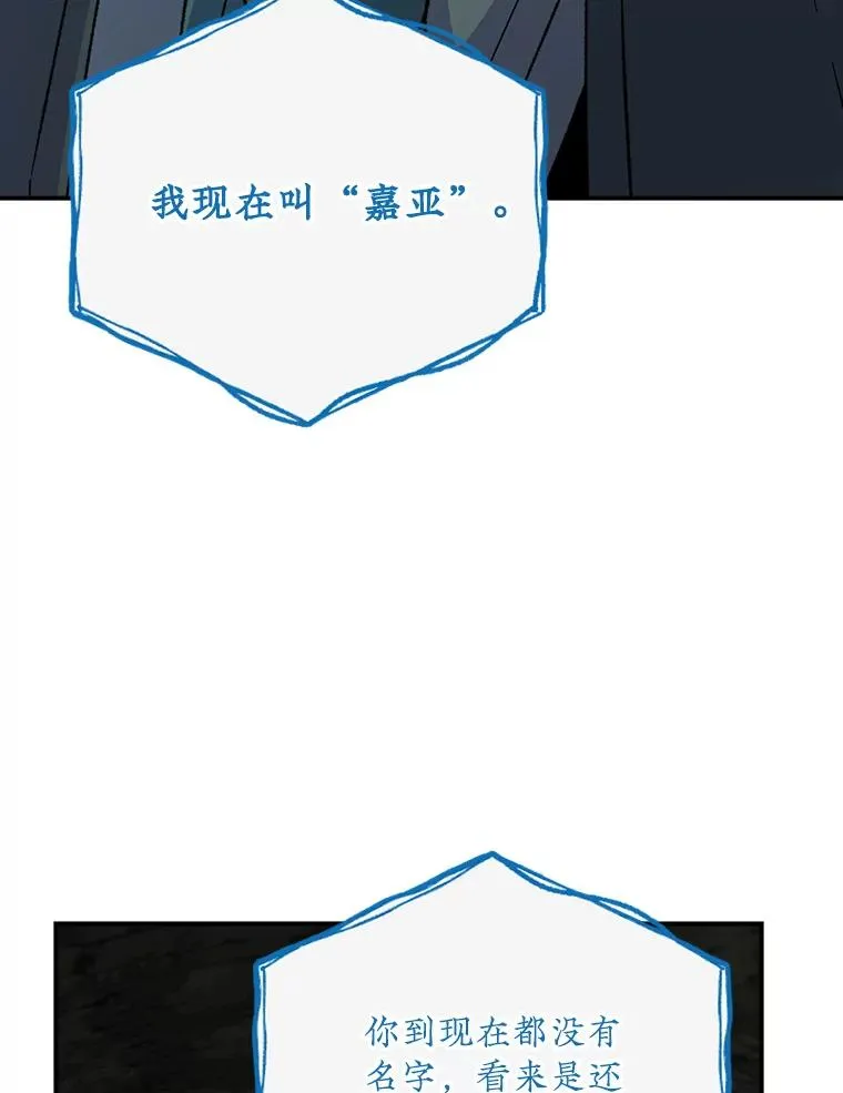 107.嘉亚98