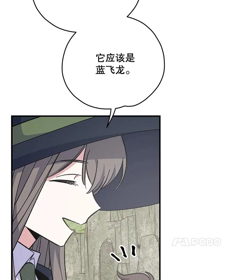 81.蓝飞龙6