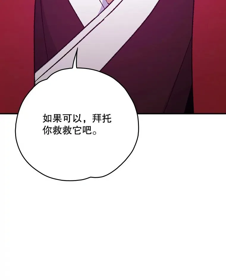 107.嘉亚35