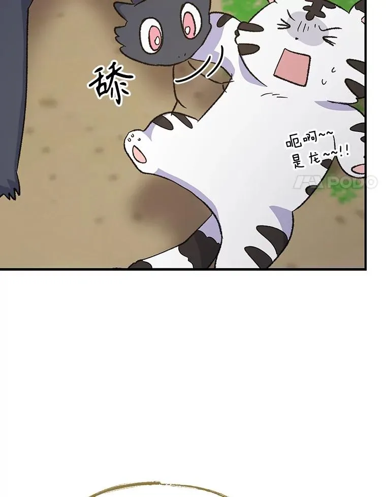 99.白虎的苦衷115