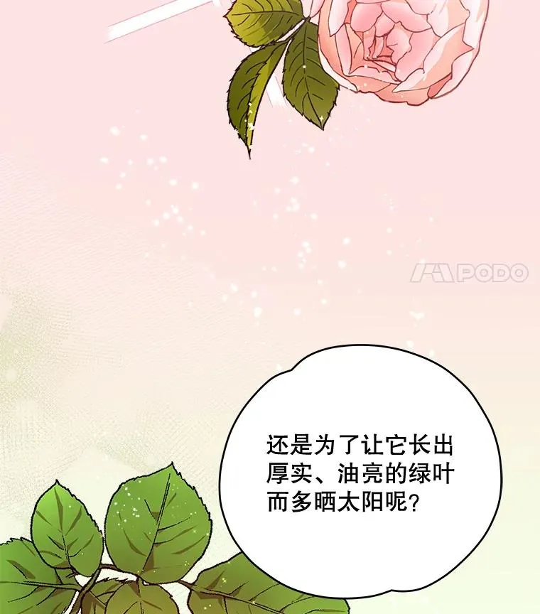 27.阿贝尔66
