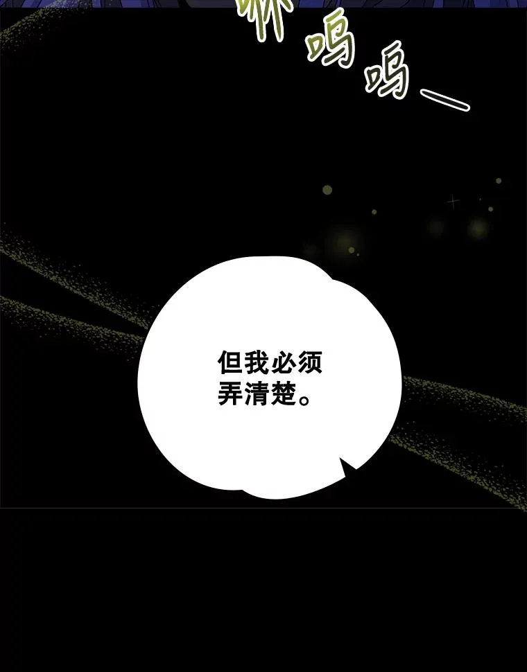 15.弗里德71