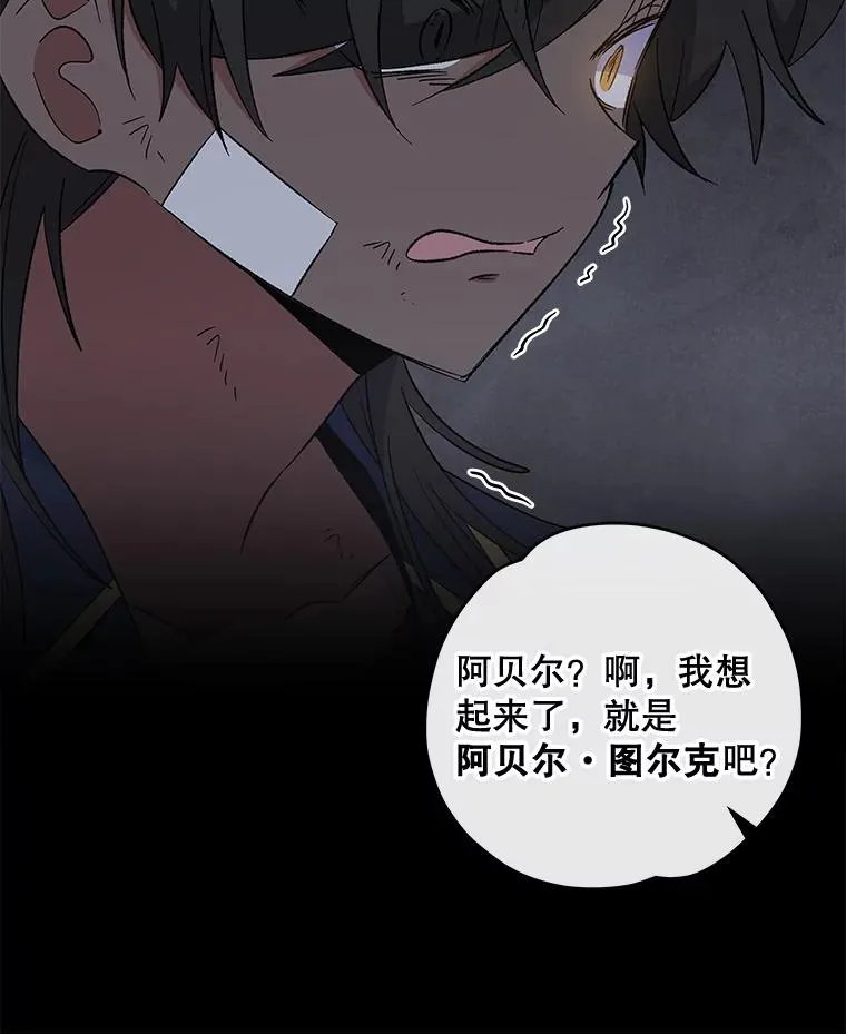31.阿贝尔暴走15