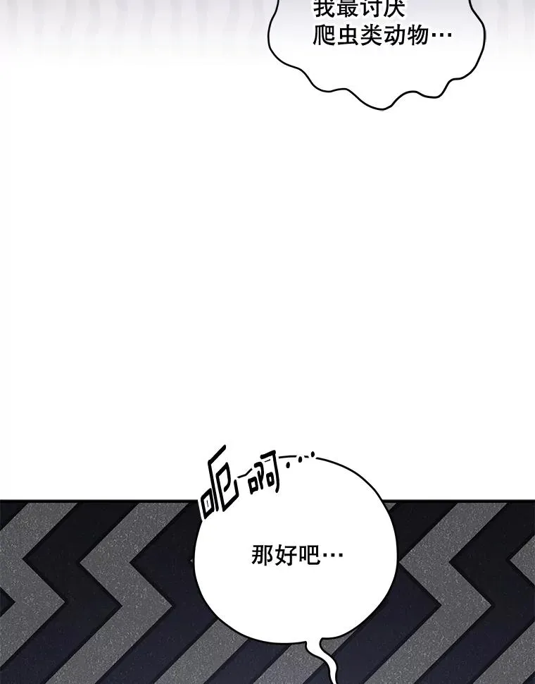 81.蓝飞龙78