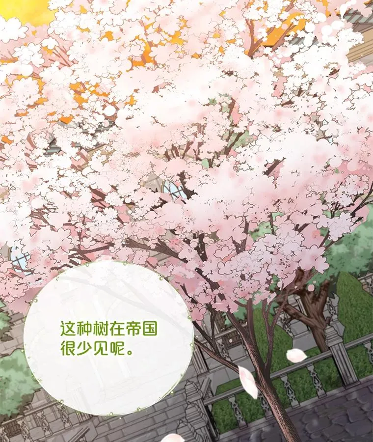 41.3皇子塞奇93