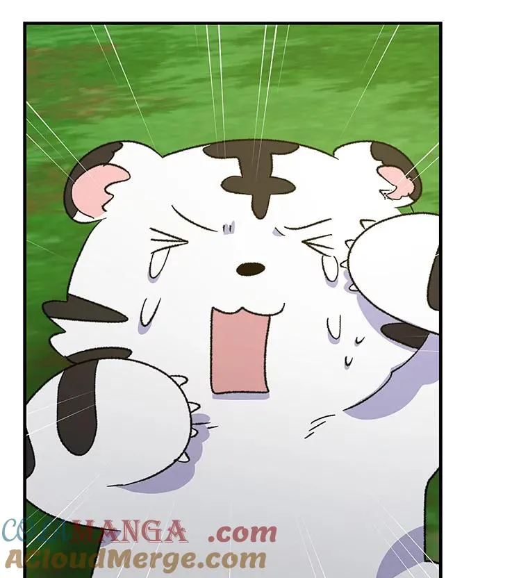 99.白虎的苦衷40