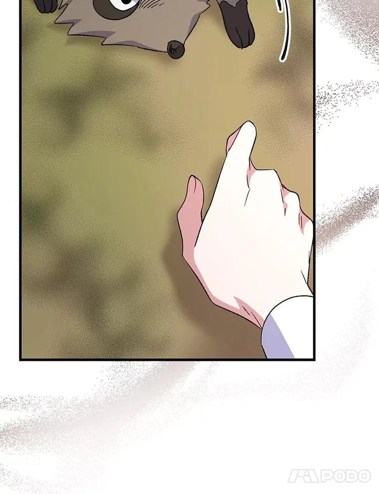 79.精灵格布27
