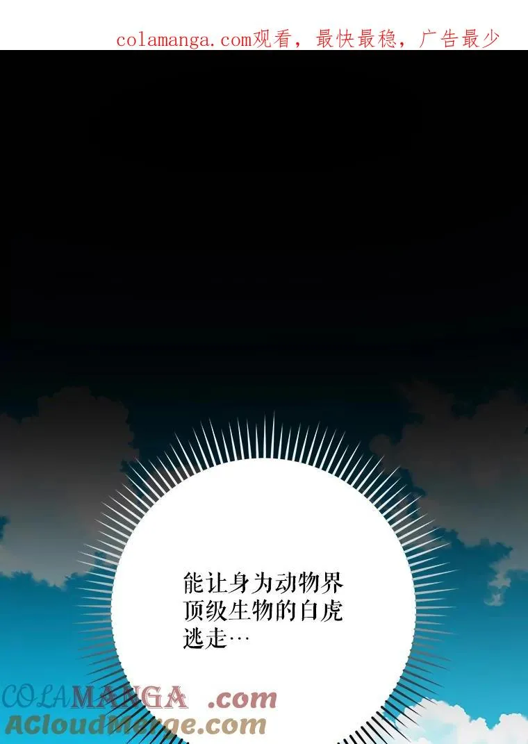 99.白虎的苦衷0