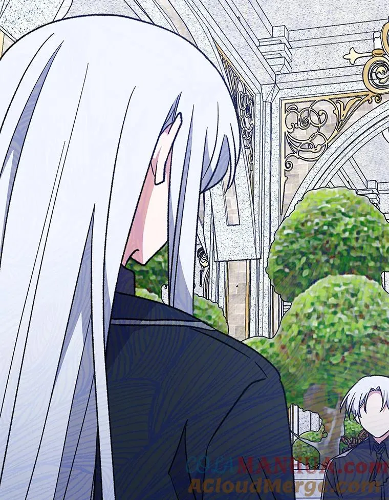 48.皇帝的陈述100