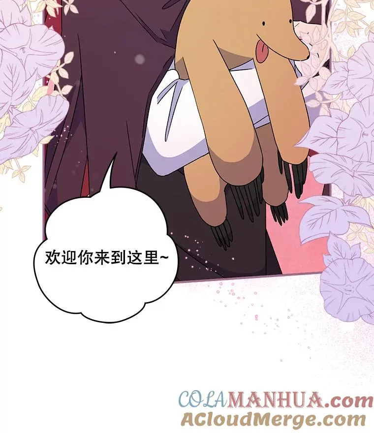 26.精灵学课程24