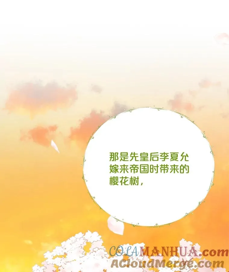41.3皇子塞奇92