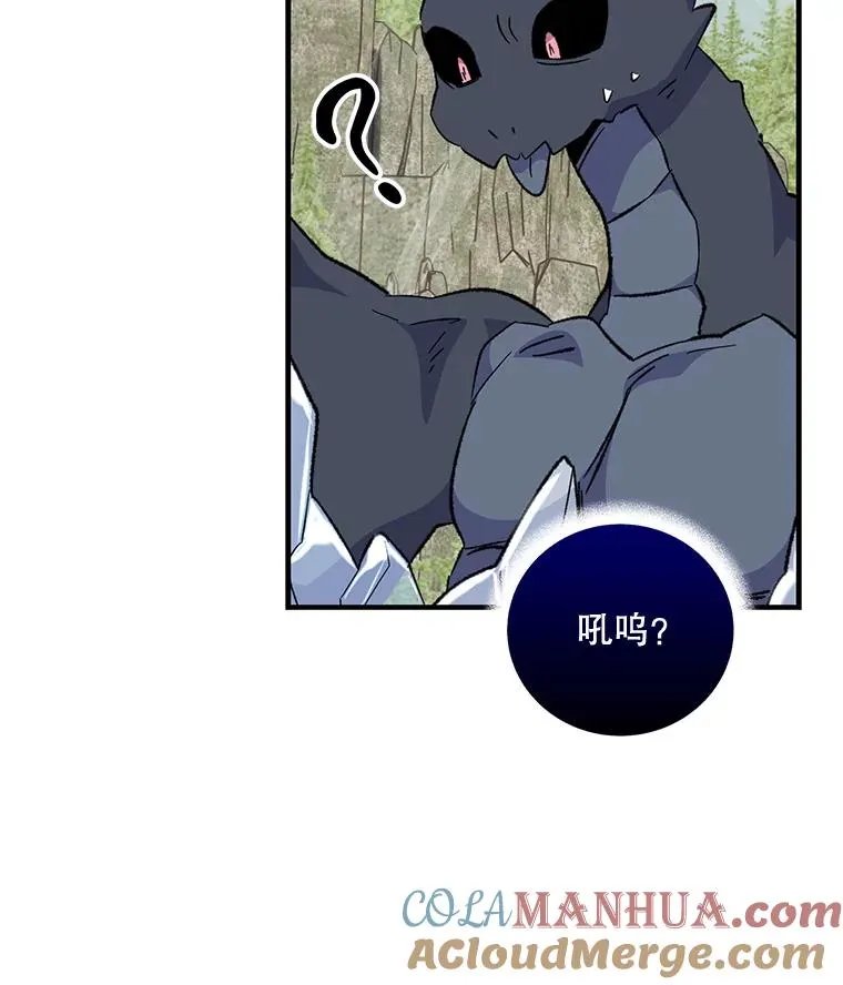 81.蓝飞龙40
