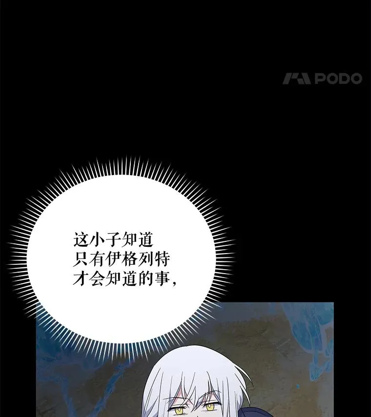 37.火之精灵王74