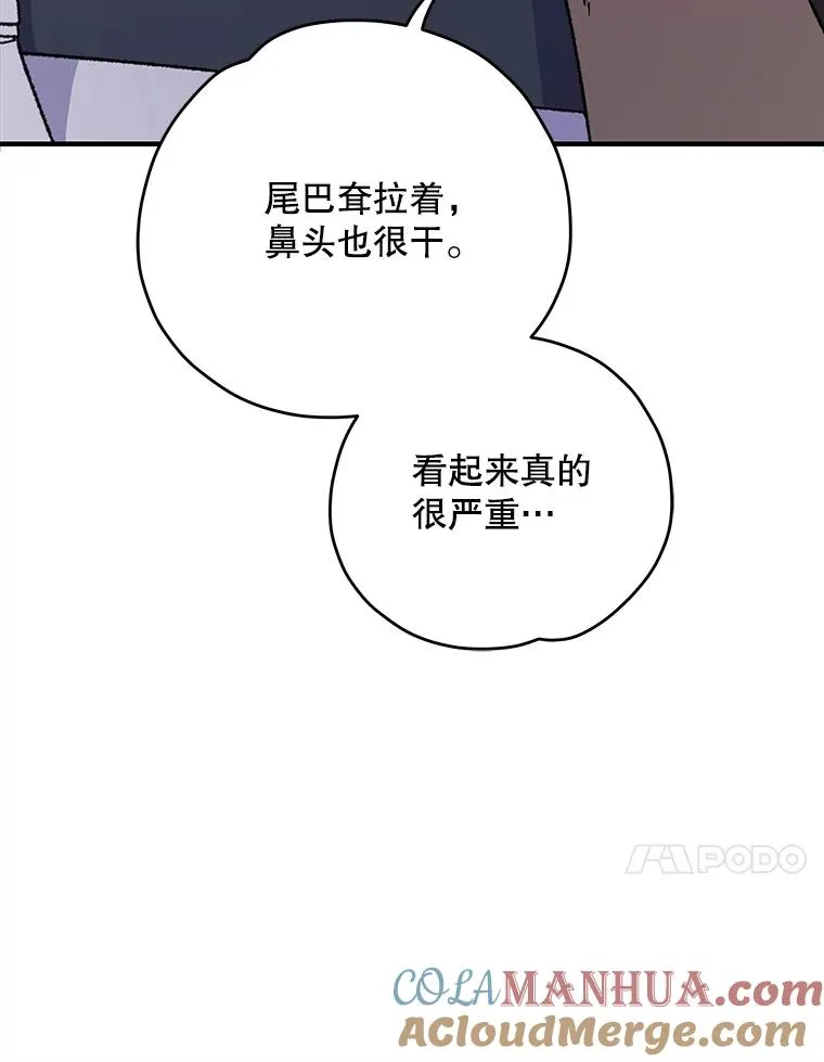 91.寻找千年仙人掌48