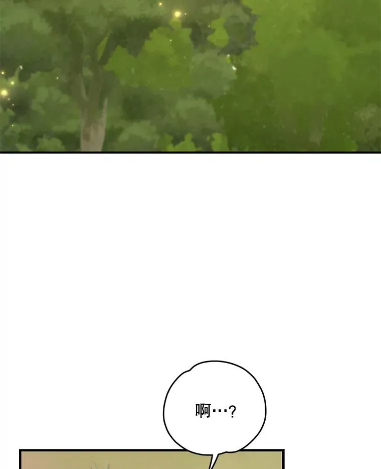 79.精灵格布2