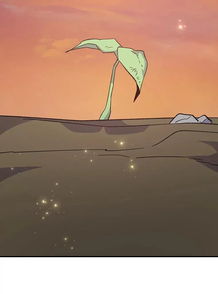 128.没有浇灌的花14