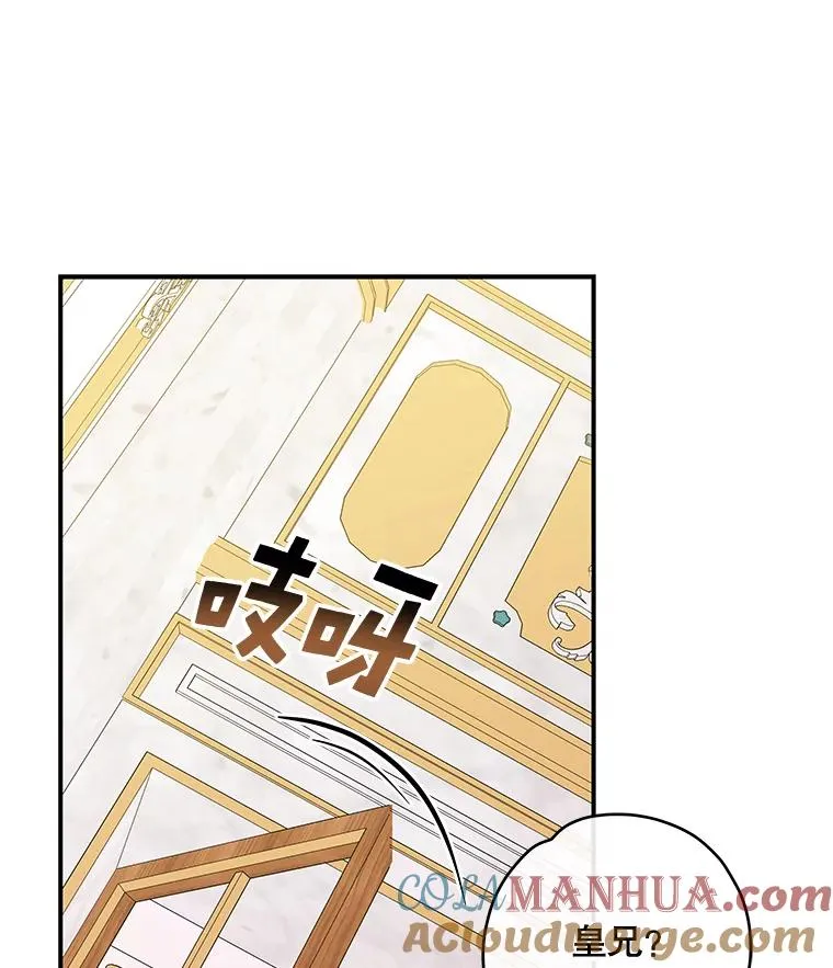 41.3皇子塞奇24