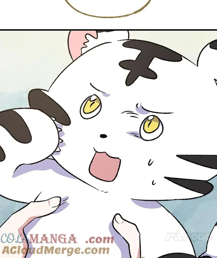 99.白虎的苦衷80