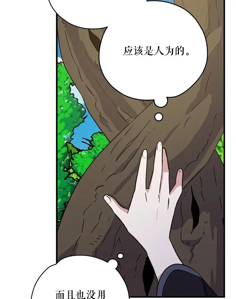 94.寻找魔女27