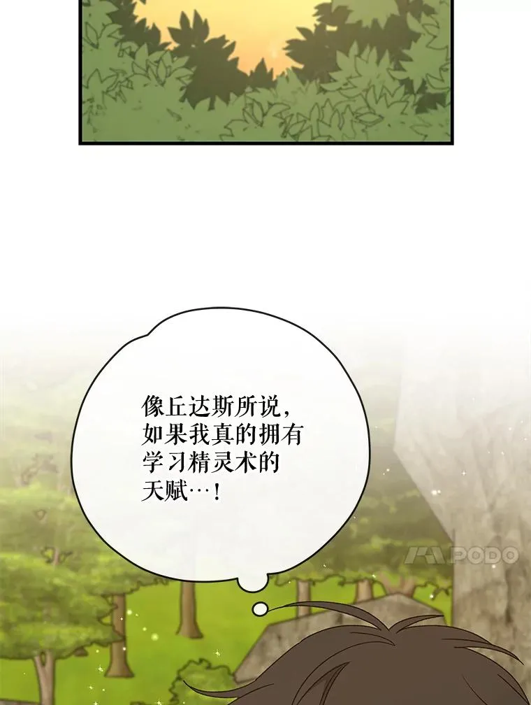29.精灵契约99