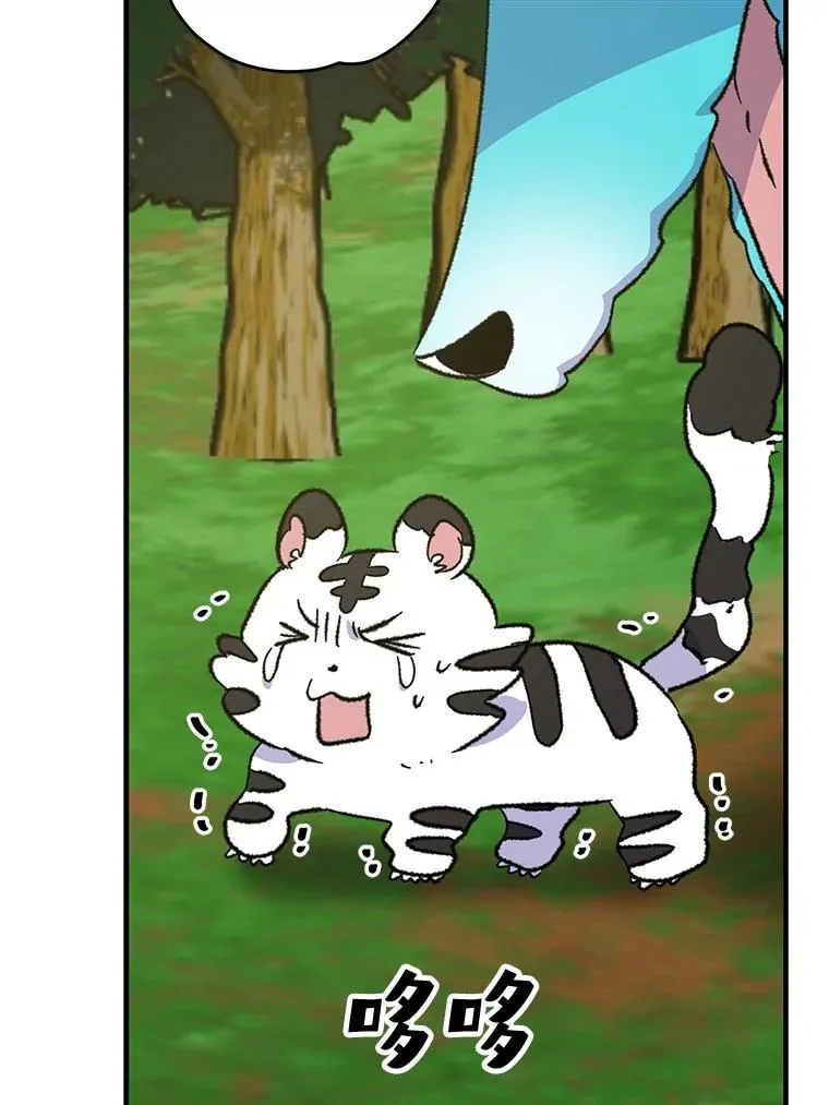 99.白虎的苦衷30