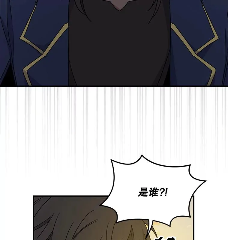 29.精灵契约105