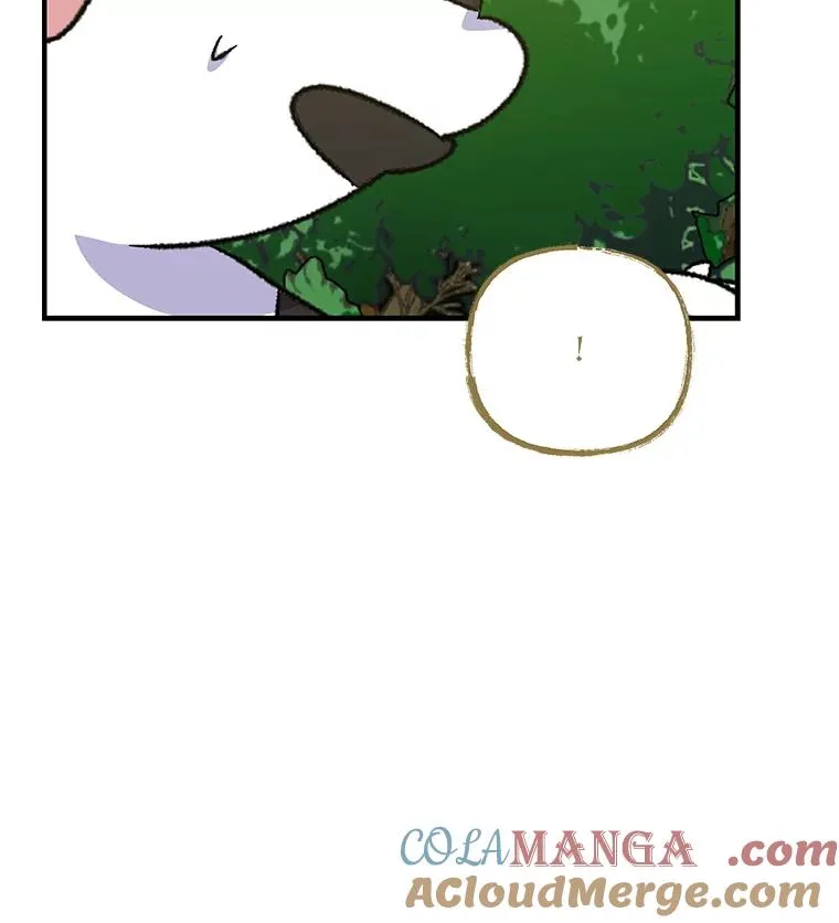 99.白虎的苦衷44
