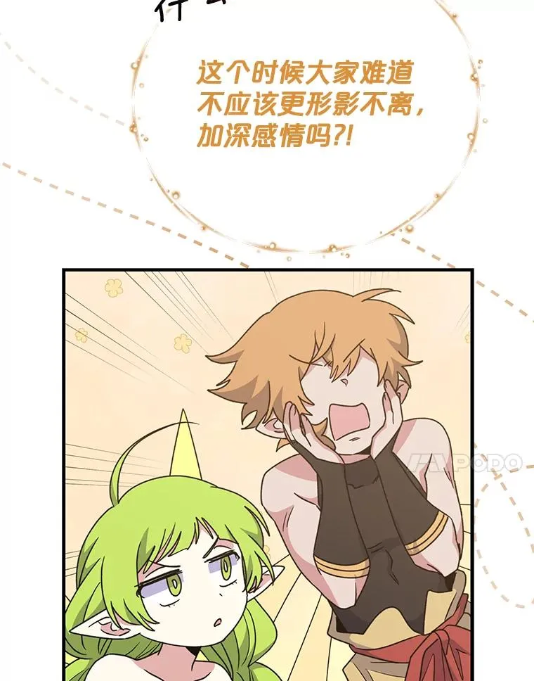 50.科尔6