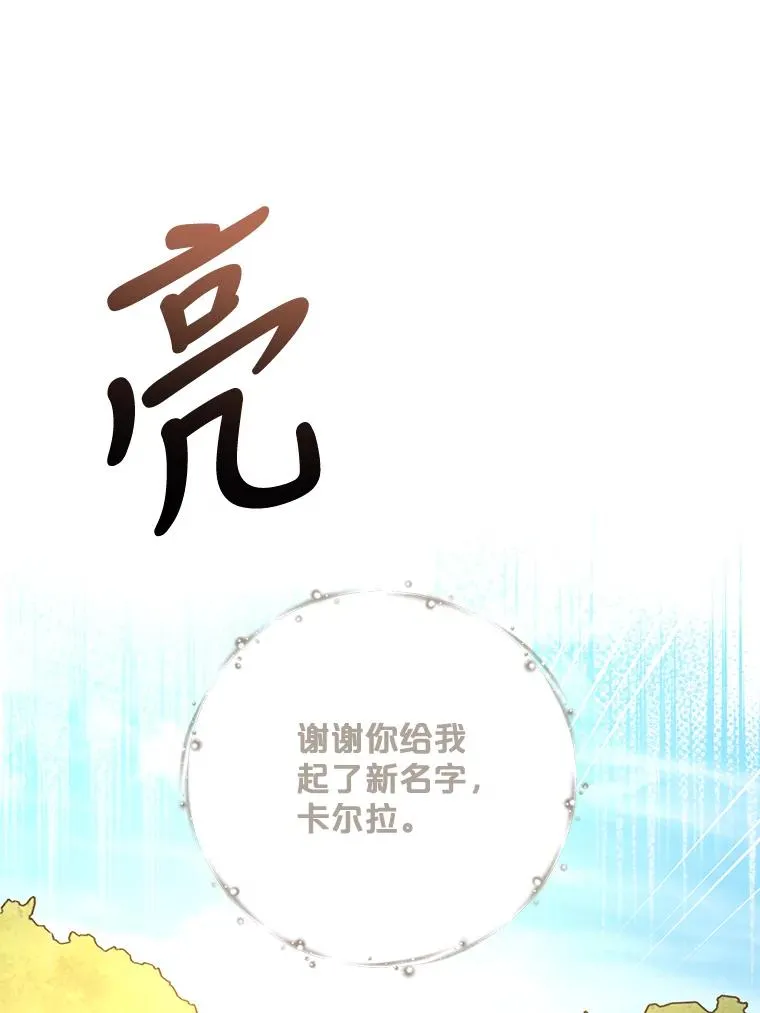 79.精灵格布57