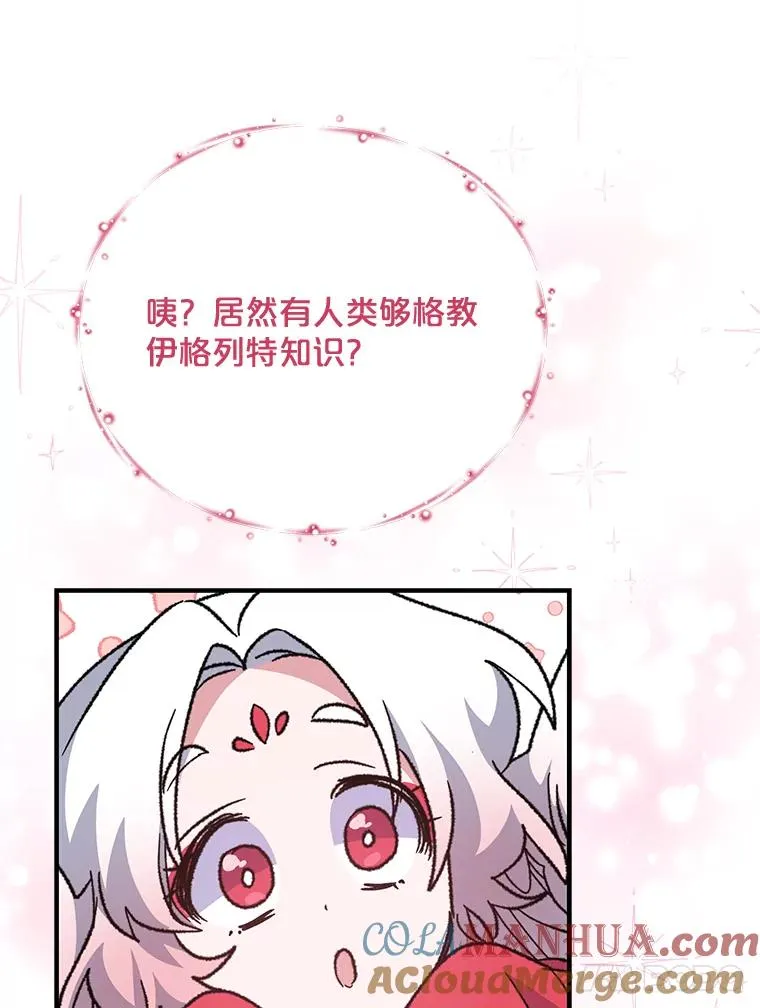 50.科尔20