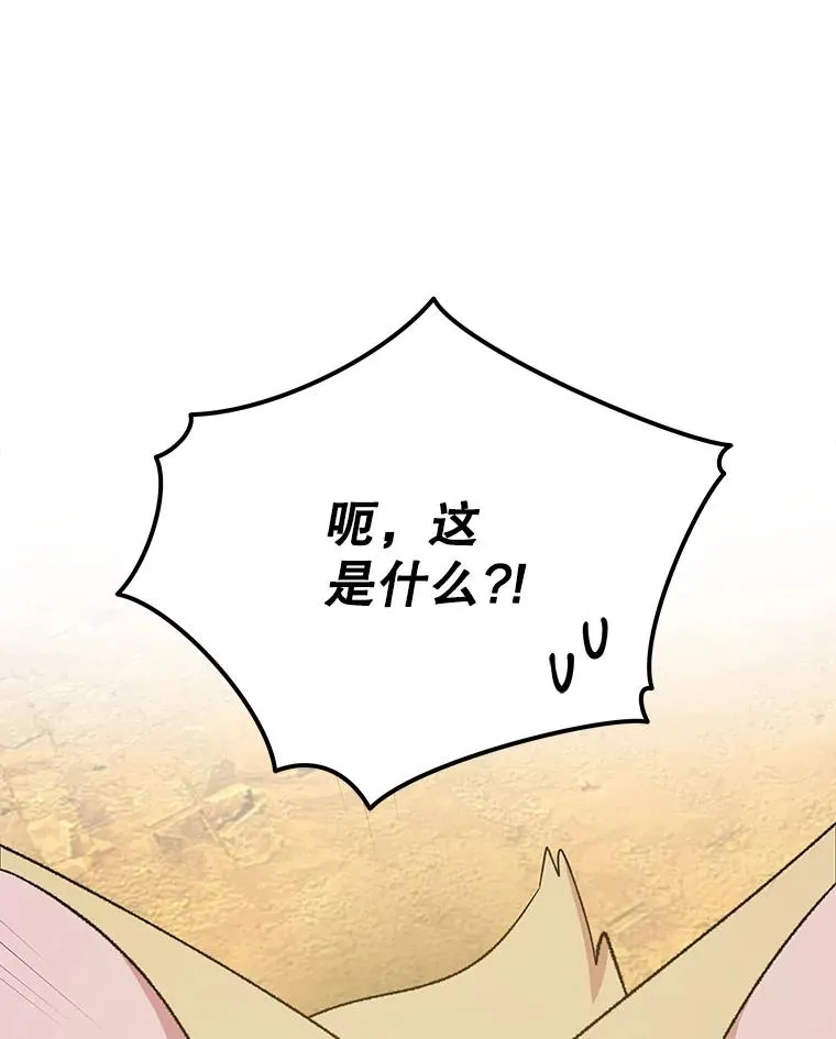 91.寻找千年仙人掌14