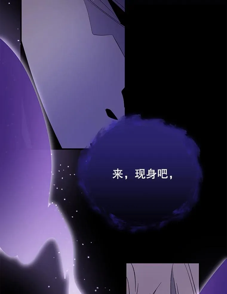 37.火之精灵王41