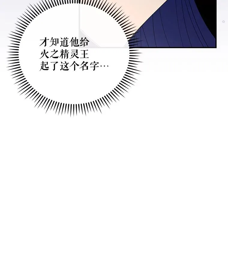 37.火之精灵王71