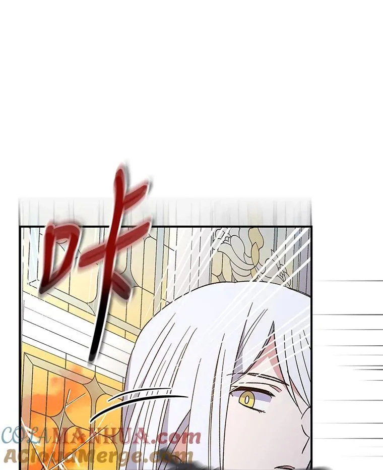 41.3皇子塞奇100