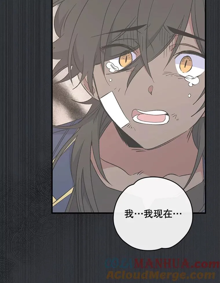35.阿贝尔的处分96
