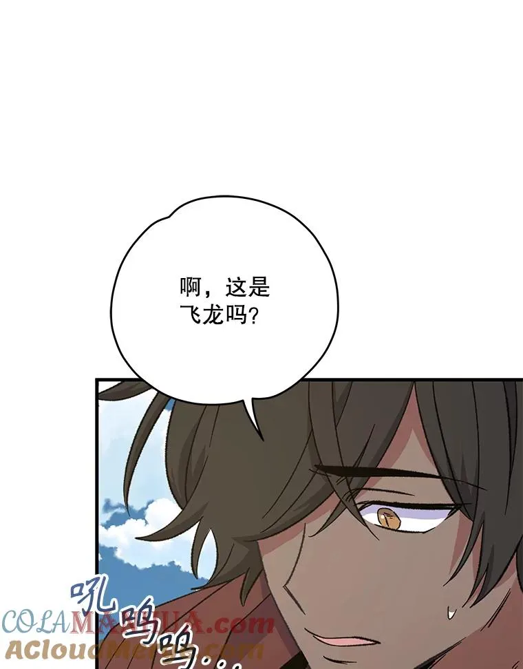 91.寻找千年仙人掌44