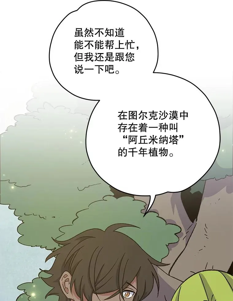 91.寻找千年仙人掌51