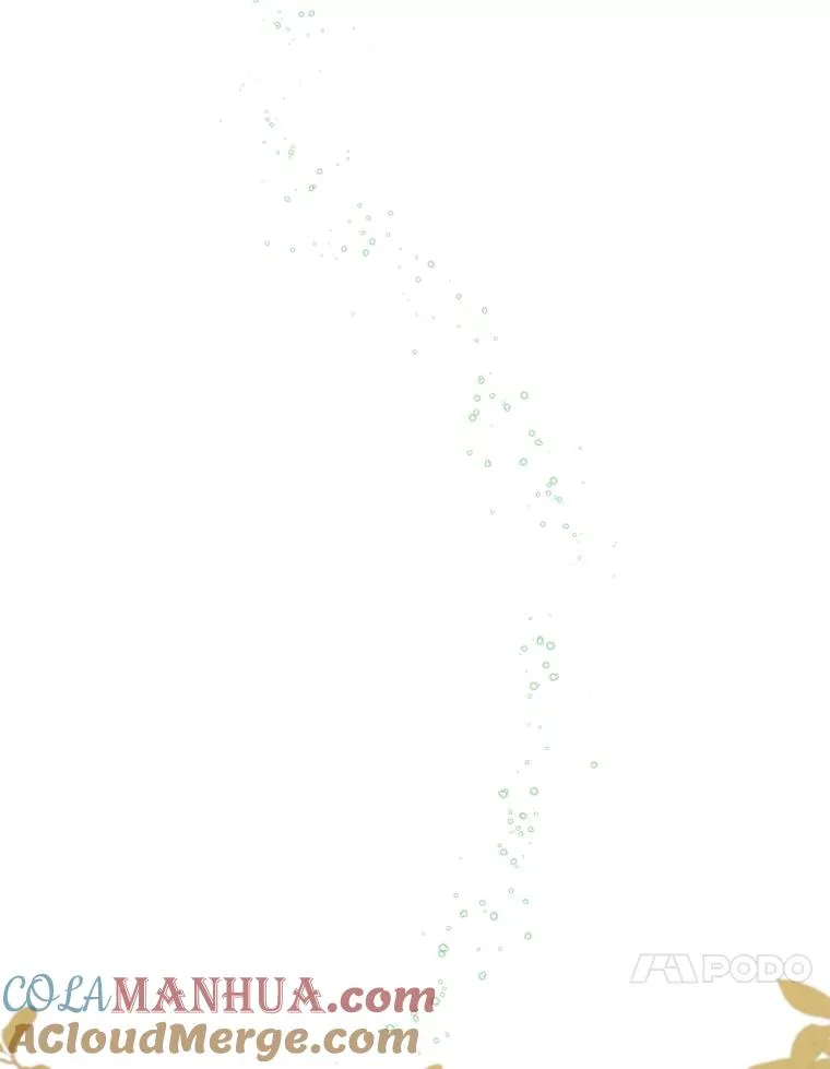 29.精灵契约32