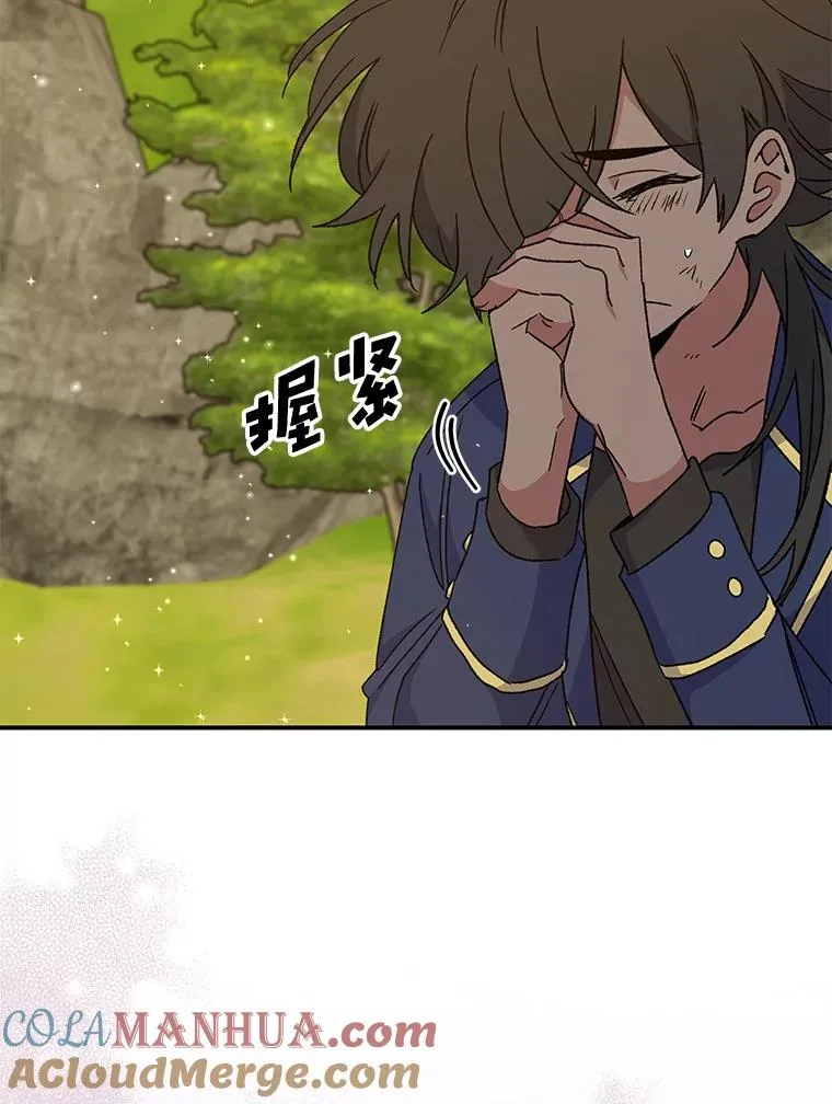 29.精灵契约100