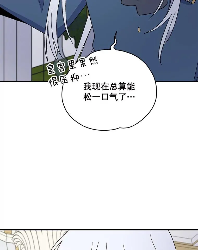 41.3皇子塞奇90