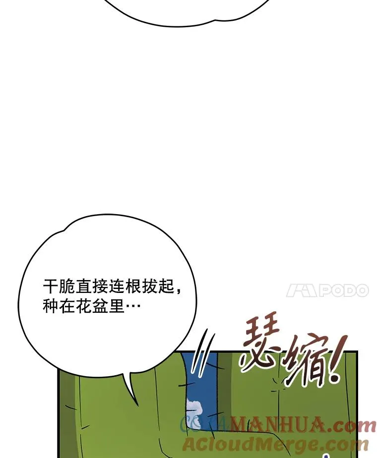 91.寻找千年仙人掌92