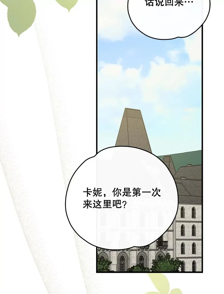 50.科尔11