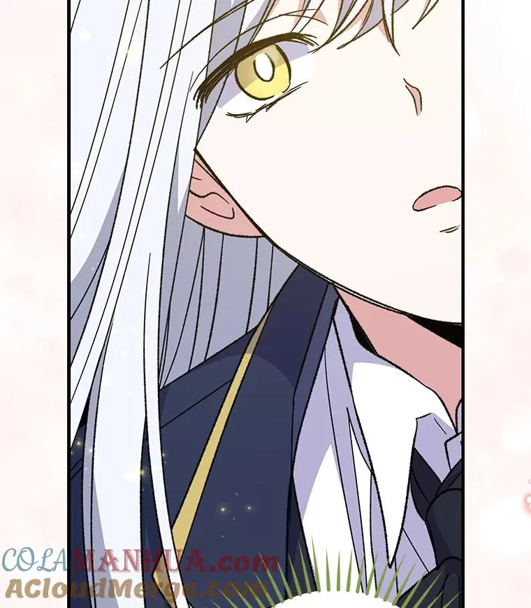 50.科尔100