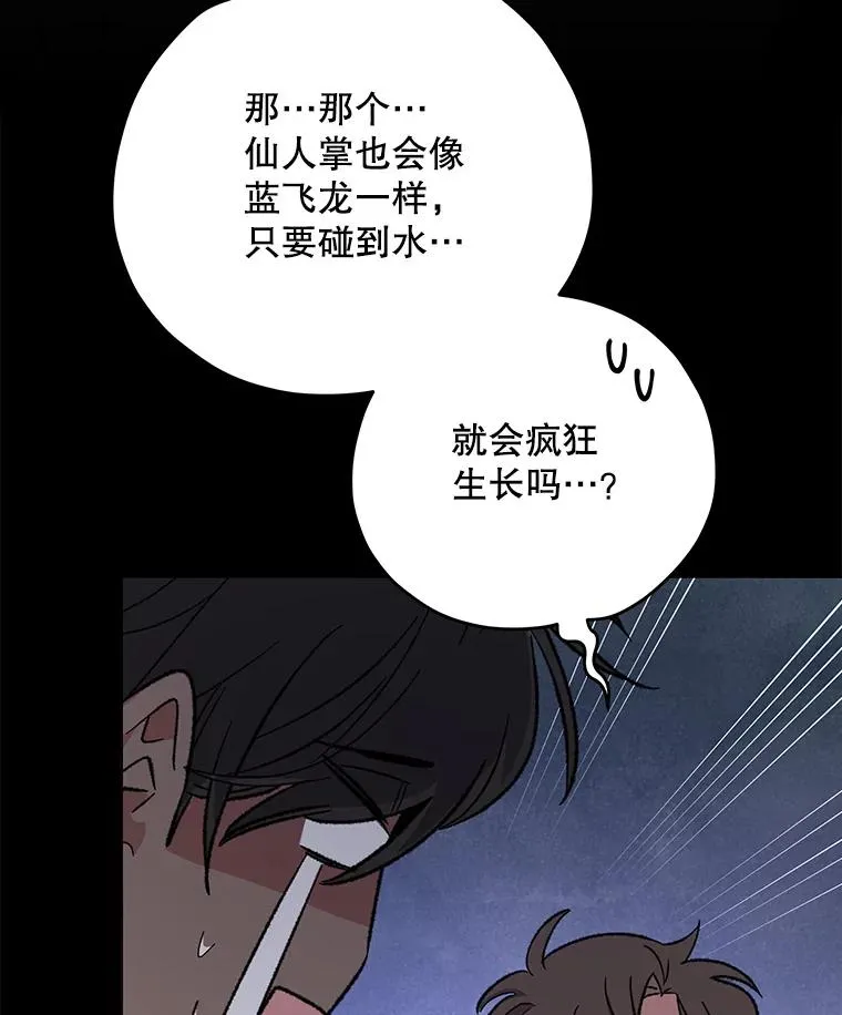 91.寻找千年仙人掌101