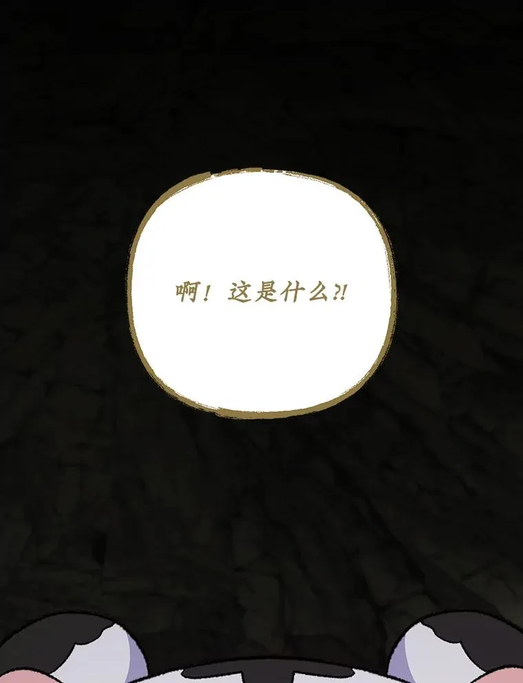 107.嘉亚79
