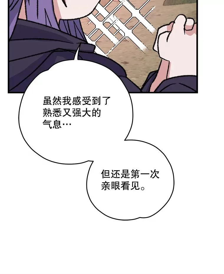 94.寻找魔女97