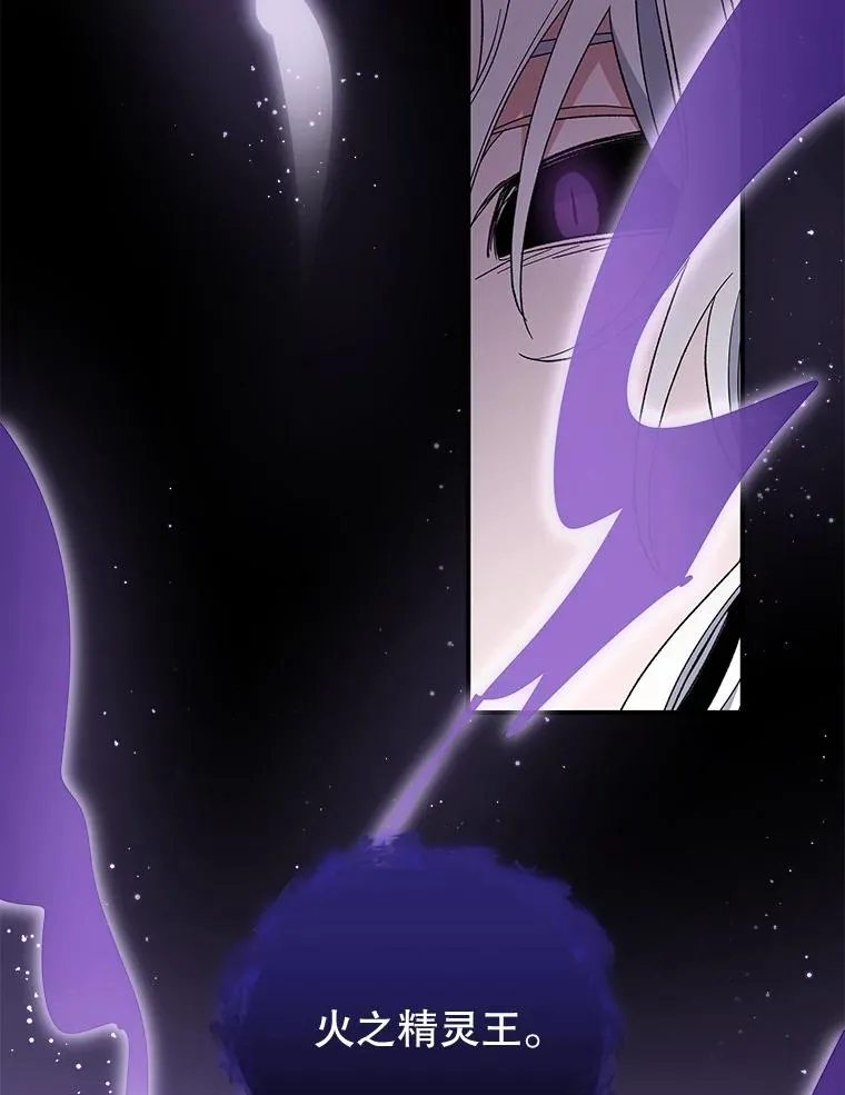 37.火之精灵王42