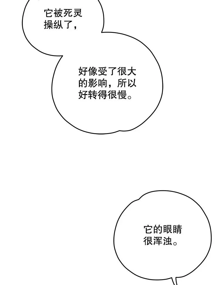 91.寻找千年仙人掌46