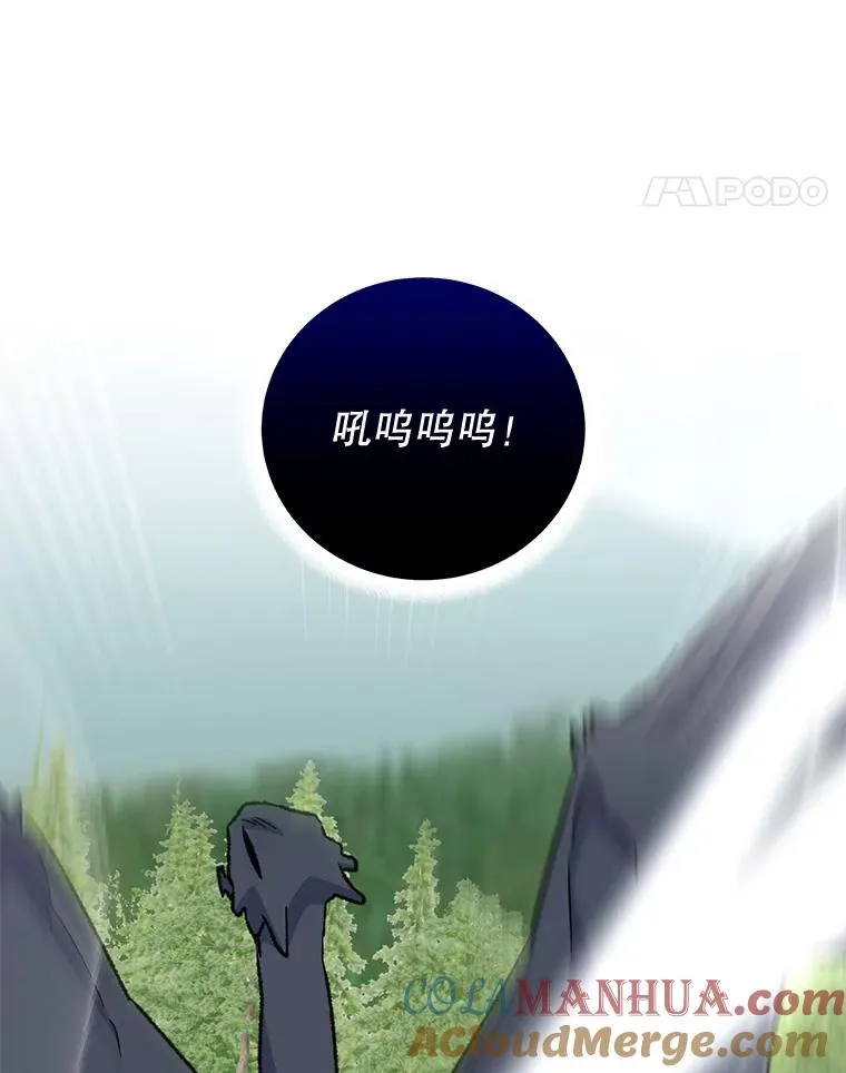 81.蓝飞龙24